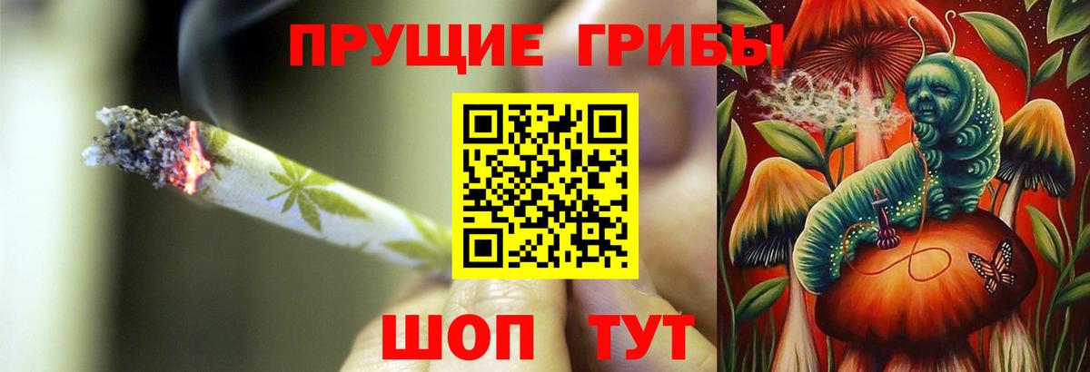 Псилоцибиновые грибы Cubensis  Вход с VPN  купить наркотик  Десногорск  Псилоцибиновые грибы Magic Shrooms 
